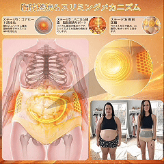 公式ブランドストア|🍧 𝐏𝐀𝐔𝐑𝐀𝐉𝐔® 𝟐𝟎𝟐𝟔 モリンガ & ベルべリン 4IN1 微粒子シェイピング & 脂肪燃焼ショーツ