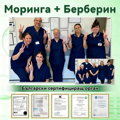 Официален магазин  | 🟡𝑳𝒖𝒙𝒂𝒓𝒊𝒔𝒆® Моринга X Берберин 10-In-1 Напреднал Нано Микроигли Пластир（Веднъж дневно, видими промени за 𝟕 дни） Наднормено тегло, диабет, сънна апнея и ставни проблеми